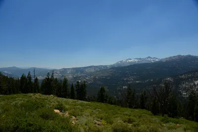 DSC_0240 (Large).JPG